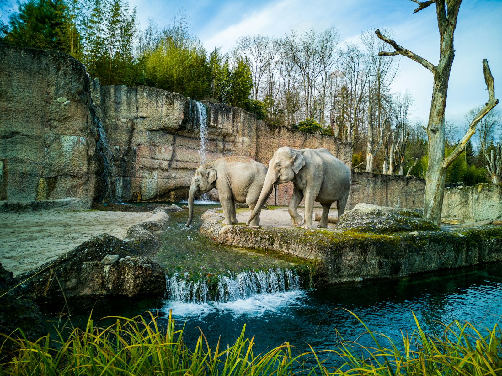 dierentuin